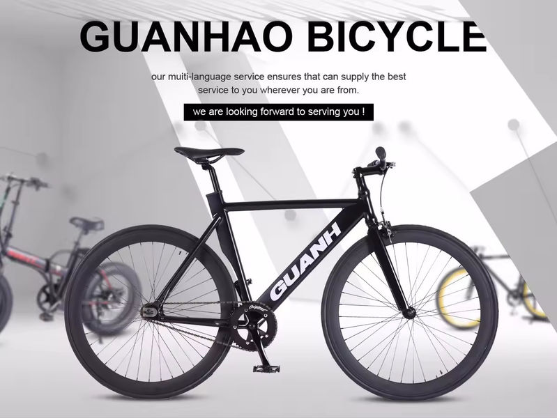 Bicicletas elétricas