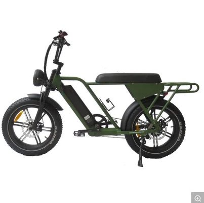 48V250W-500W-750W-1000W Motores Step-Through bicicletas elétricas com estrutura de liga de alumínio