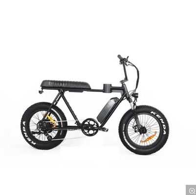 Quadro de liga de magnésio 2020 20 polegadas de pneu gordo bicicleta elétrica de neve cruzeiro de praia EL-DN2011Z