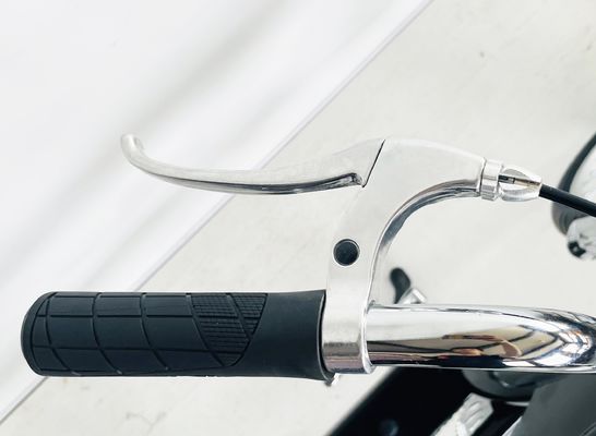Peso bruto 25,0 kg 24-20 &quot; Single Speed Adult Chopper Bike com garfo de aço do OEM