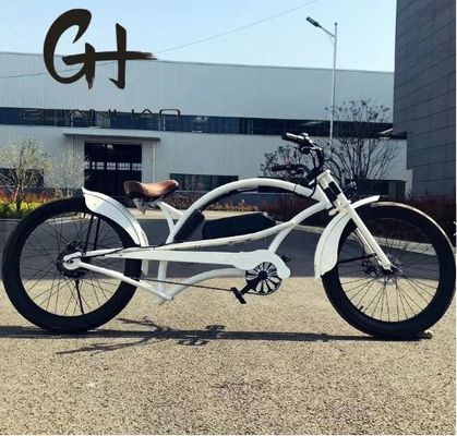 Pneus de 3,0 polegadas de 24 polegadas para homens 48V 17AH OEM/ODM 750W 28MPH Single Speed Bafang Motor Display Chopper Bicicleta elétrica