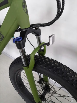 16.7 Ah Capacidade da Bateria Bicicleta de Montanha Elétrica para Adultos 26 polegadas de Garrafa Gordo Ebike
