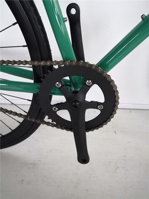 Colorido 700c Single Speed Flip Flop Hub City Cruiser Urban Fixie Bike para Adultos