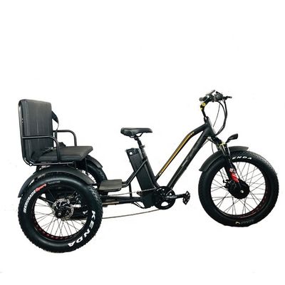 24&quot; 48V roda dianteira 750W 45KM/H Carga máxima 300KG 21AH Bateria de lítio Triciclos elétricos