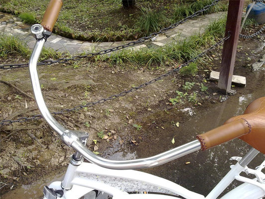Logotipo personalizado Adultos Bicicletas híbridas de velocidade única de 26 polegadas para mulheres Bicicleta de cruzeiro de praia
