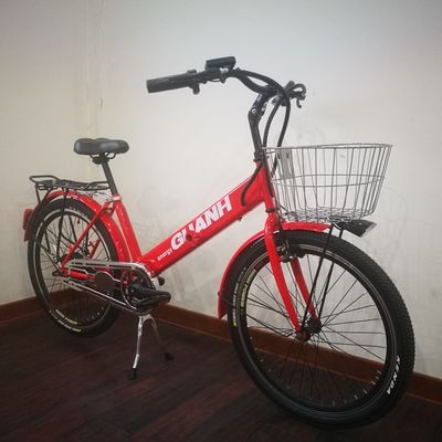36V 9Ah 250W Torque 80-90 Nm 25KM/H Hi-Ten Steel Electric Cargo Bike para entrega de alimentos