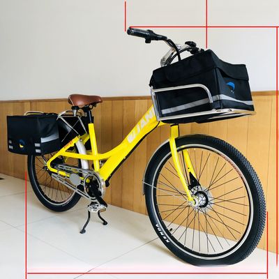 36V 9Ah 250W Torque 80-90 Nm 25KM/H Hi-Ten Steel Electric Cargo Bike para entrega de alimentos