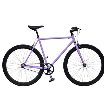 1.6m Comprimento OEM Colorido 700C Adult Road Racing Light Weight Single Speed Fixie Fixed Gear Bike