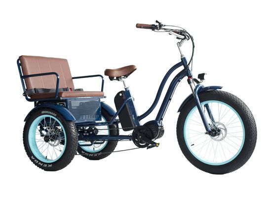 Rickshaw elétrico com bateria de lítio de 48V 750W 17AH e pneu grande