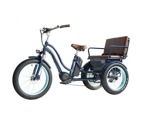 Rickshaw elétrico com bateria de lítio de 48V 750W 17AH e pneu grande