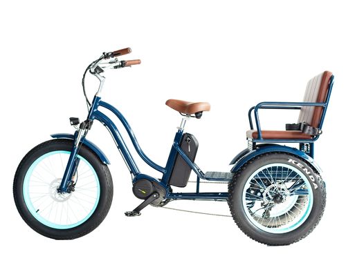 Rickshaw elétrico com bateria de lítio de 48V 750W 17AH e pneu grande
