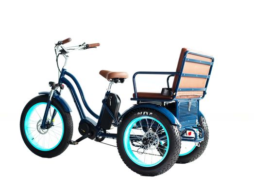 Rickshaw elétrico com bateria de lítio de 48V 750W 17AH e pneu grande