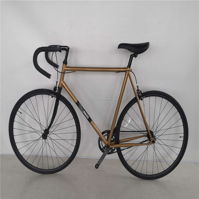 700C Single Speed Chromoly Frame Bike Retro Fixie para ciclistas adultos na Europa e EUA
