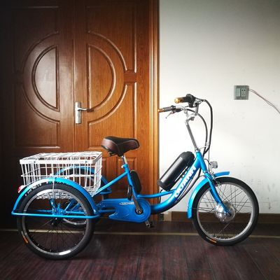 2020 Mercado 750W 20" Alumínio Alumínio Rim Triciclo Elétrico para Transporte de Carga