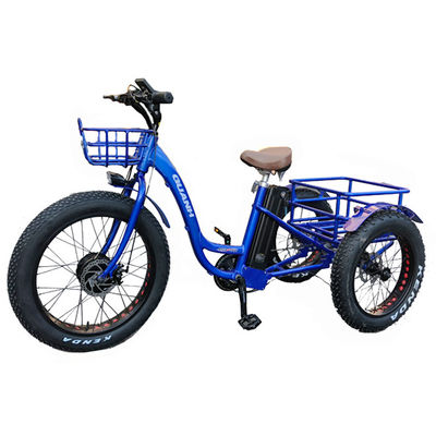 2020 Mercado 750W 20" Alumínio Alumínio Rim Triciclo Elétrico para Transporte de Carga