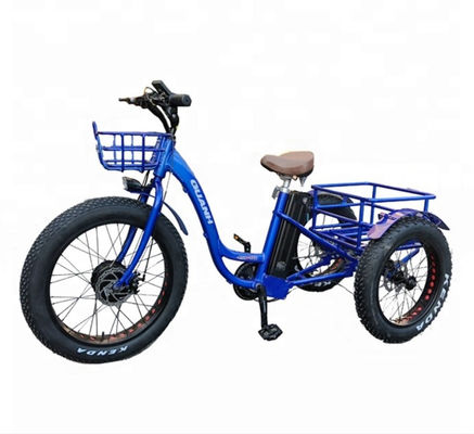 Triciclo elétrico de carga de 750W com bateria de lítio e alcance de 31-60 km