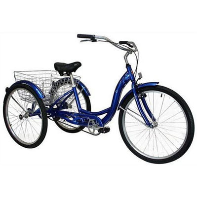 Triciclo elétrico de carga de 750W com bateria de lítio e alcance de 31-60 km