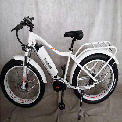 1000W Bafang Mid Drive Motor Alloy Rear Carrier Central Bike elétrica com padrões