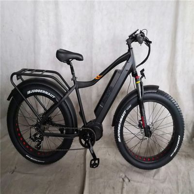 1000W Bafang Mid Drive Motor Alloy Rear Carrier Central Bike elétrica com padrões