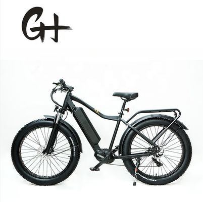 1000W Bafang Mid Drive Motor Alloy Rear Carrier Central Bike elétrica com padrões