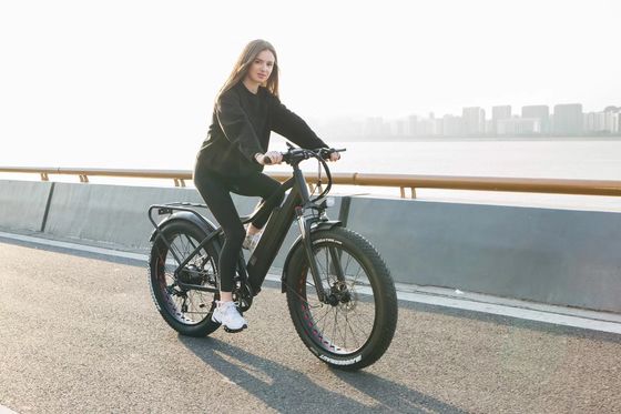 1000W Bafang Mid Drive Motor Alloy Rear Carrier Central Bike elétrica com padrões
