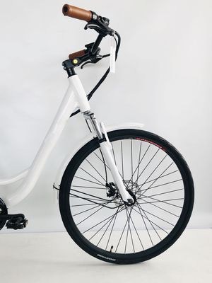 500W/48V/14Ah Rear Rack Bateria de lítio City Bike Elétrica para Mulheres 35KM/H