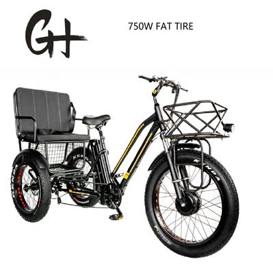 Bafang 750W Triciclo elétrico com pneu gordo E Três rodas e assento do passageiro