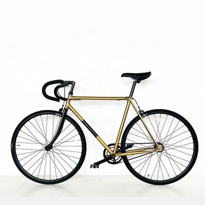 Material do garfo CR-MO Aço 700C Estrutura de carga 2 velocidade Sturmey Archer Hub Bicicleta de engrenagem fixa