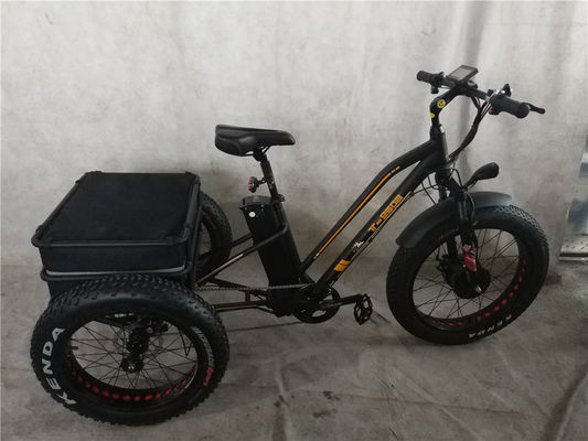 750W 48V 4,0 "Fat Pneus 3 rodas E Trike Elétrico Cargo Bike Alloy Rim 6 velocidade EUA quente