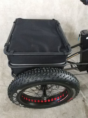 750W 48V 4,0 "Fat Pneus 3 rodas E Trike Elétrico Cargo Bike Alloy Rim 6 velocidade EUA quente