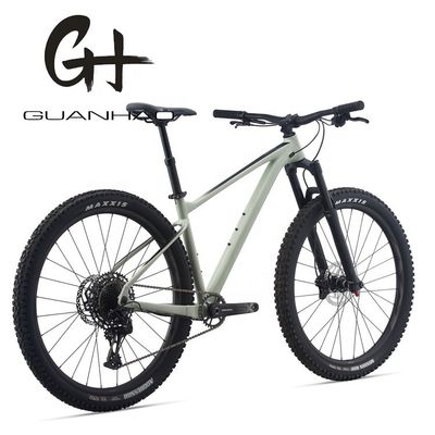 29 polegadas Mountain Bike com SRAM 11 velocidade Suspensão Frontais garfo e Alumínio Alumínio Frame OEM