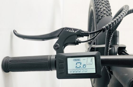 26 polegadas PAS 750W 1000W 48V bateria de lítio pneu de gordura mountain bike elétrico para homens adultos