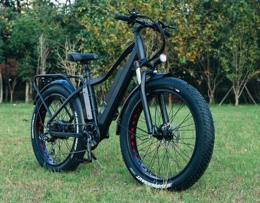 USA CE aprovado 48V 21ah bicicleta de montanha elétrica com 26 &quot;fat pneus e motor hub traseiro