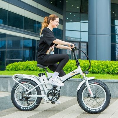 Bateria de lítio de 48V 21h CE Certificado 1000W 50KM/H Big Snow Fat Tire Electric Folding Bike Full Suspensão
