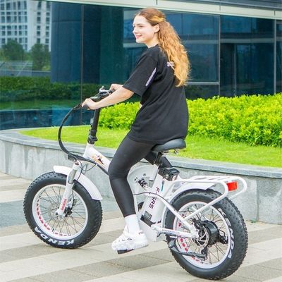 Bateria de lítio de 48V 21h CE Certificado 1000W 50KM/H Big Snow Fat Tire Electric Folding Bike Full Suspensão