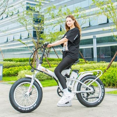 Bateria de lítio de 48V 21h CE Certificado 1000W 50KM/H Big Snow Fat Tire Electric Folding Bike Full Suspensão