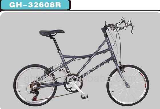 14 velocidade 20 polegadas Mini Road Bike Bicicleta com borda de alumínio de parede dupla e dobrável
