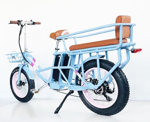 20" 48V 1000W Dual Baterias 34AH Bateria de Lítio 50KM/H Rear Hub Motor Snow Electric Bike