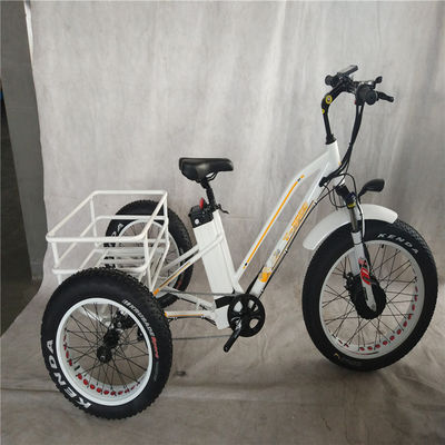750W Bicicleta Elétrica 3 Rodas Pneus Gordos Adultos E Trike Cargo Torque 70-80 Nm Travas de disco
