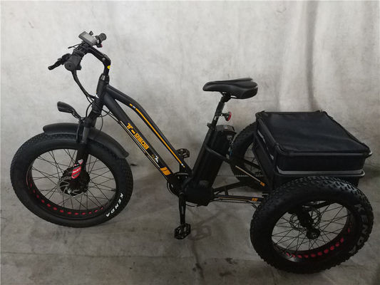 750W Bicicleta Elétrica 3 Rodas Pneus Gordos Adultos E Trike Cargo Torque 70-80 Nm Travas de disco