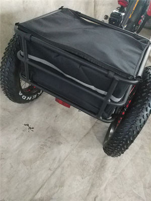 750W Bicicleta Elétrica 3 Rodas Pneus Gordos Adultos E Trike Cargo Torque 70-80 Nm Travas de disco