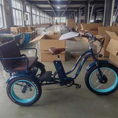750W Bicicleta Elétrica 3 Rodas Pneus Gordos Adultos E Trike Cargo Torque 70-80 Nm Travas de disco