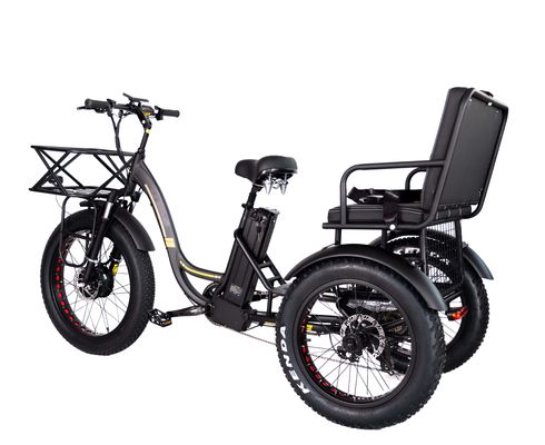 Triciclo elétrico leve de alumínio 48V 750W 21AH 50KM/H para passageiro adulto