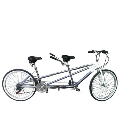 26 polegadas 18 Speed Mountain Retalho 20% de desconto CE OEM EN14764 Bicicleta Tandem Dupla Pessoa