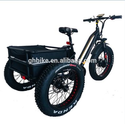750W motor dianteiro 24 4.0 pneu gordo neve 48V E Trike Três rodas de carga triciclo elétrico