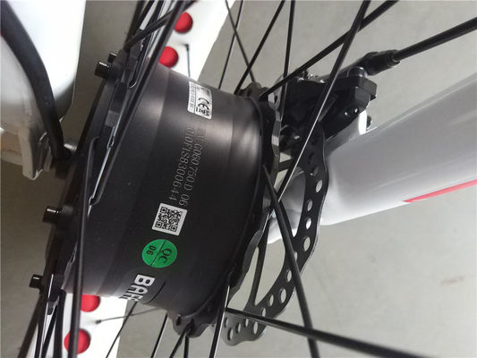 750W motor dianteiro 24 4.0 pneu gordo neve 48V E Trike Três rodas de carga triciclo elétrico