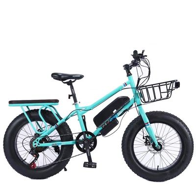 20" 500W 48V13AH OEM/ODM EN15194 Bicicleta elétrica de travagem a disco para diversão ao ar livre de crianças pequenas