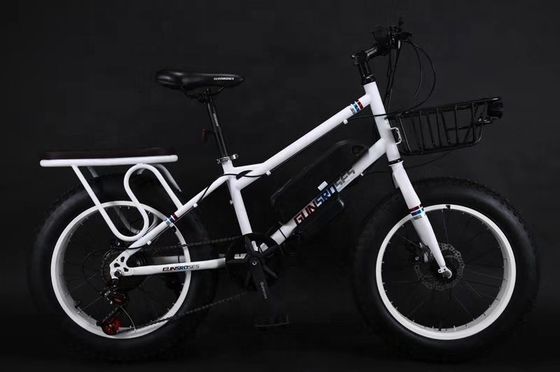 20" 500W 48V13AH OEM/ODM EN15194 Bicicleta elétrica de travagem a disco para diversão ao ar livre de crianças pequenas