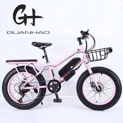 20" 500W 48V13AH OEM/ODM EN15194 Bicicleta elétrica de travagem a disco para diversão ao ar livre de crianças pequenas