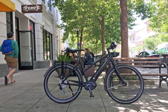 Bafang Central Motor 25KM/H 8.8AH Bateria de Lítio OEM CE Elétrica City Cargo Bike
